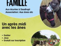 Sortie en famille en compagnie des ânes